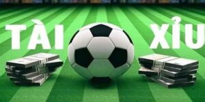 Cách Soi Kèo Tài Xỉu Tại FM88 - Mẹo Hay Cho Mọi Trận Đấu